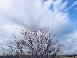 早安蔚藍的天空