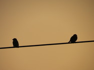 給你一個斜笑的臉