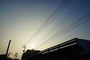 燕子家族早點名