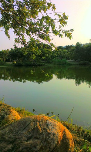 金色之光撒落的湖畔