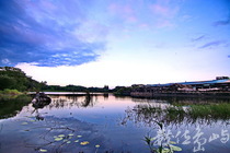 東勢林業文化園區