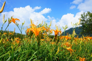 夏末，我遇見的美好