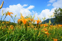 夏末，我遇見的美好