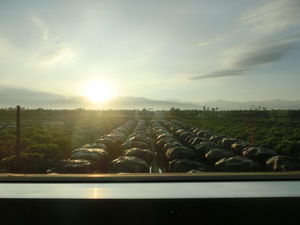 在東部看到的第一個日出