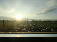 在東部看到的第一個日出