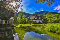 早安---南投之美