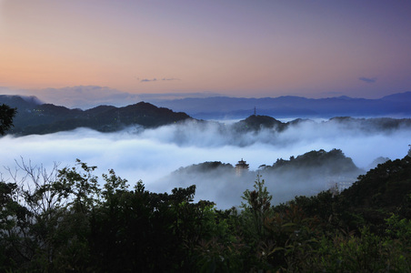數位島嶼~菊兒心靈相簿