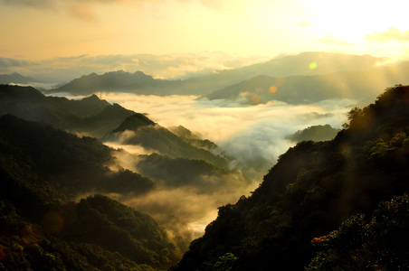 數位島嶼~菊兒心靈相簿