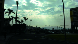 校園忙裡偷閒的仰望