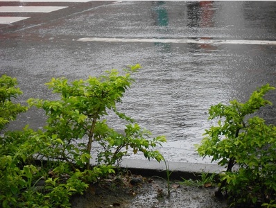 雨聲過景