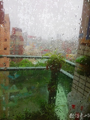 那天下午打在紗窗上的雨