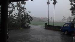<瀰濃霧雨> 劉清吉 攝