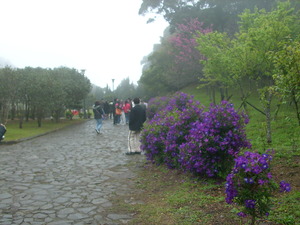 再現美麗島2007年數位�