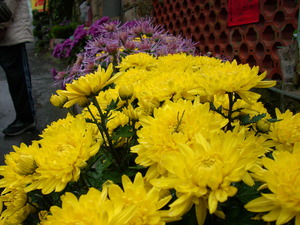 再現美麗島2007年數位�