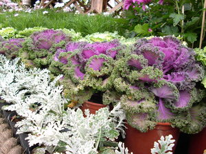 再現美麗島2007年數位�