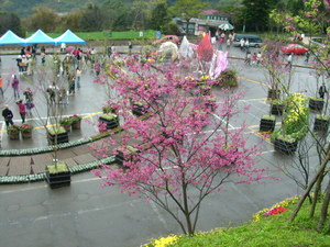 再現美麗島2007年數位�