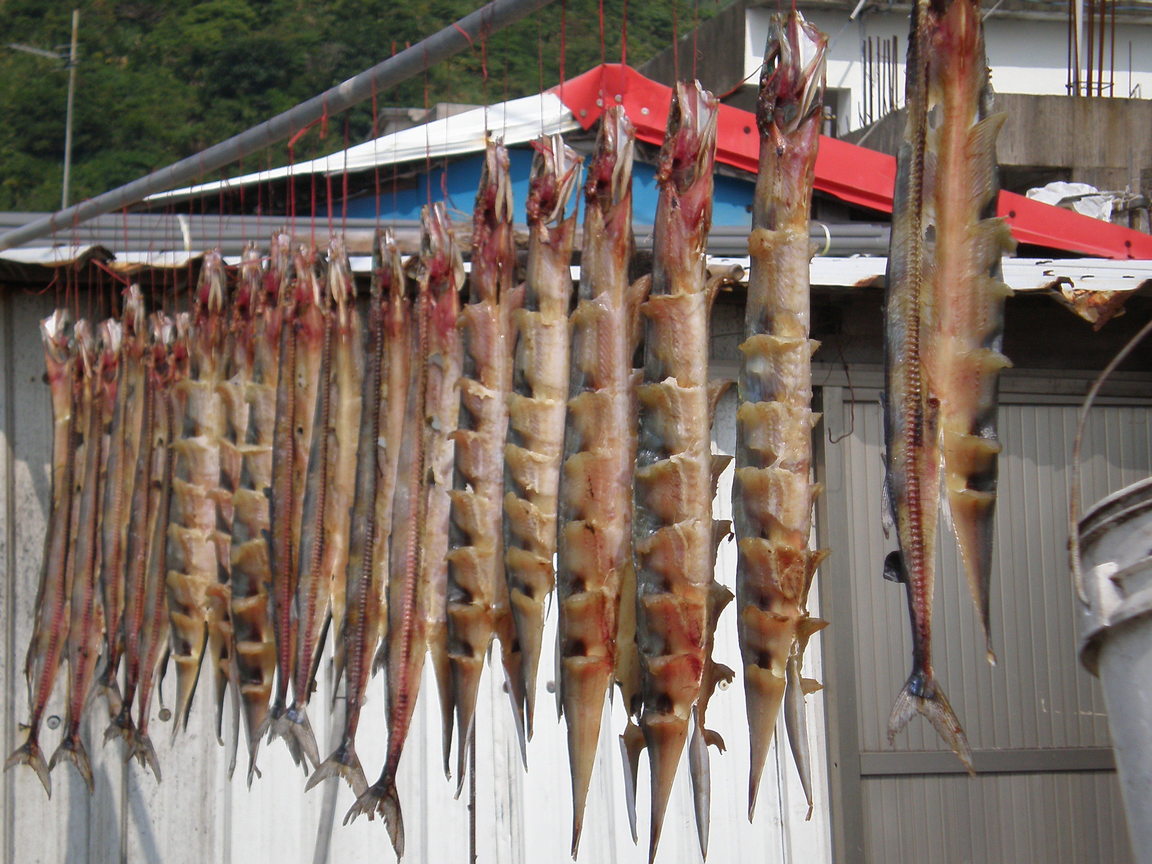 曬飛魚