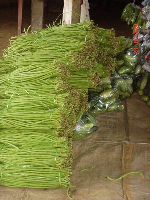 長豆與青瓜