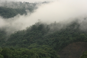 身在雲中不知處