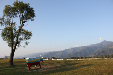 台灣拼圖-台東縣卑南鄉