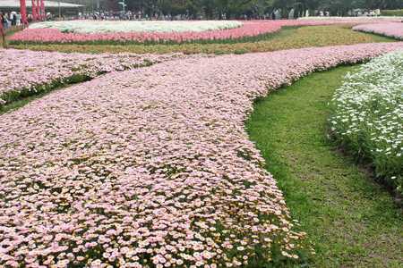 台灣拼圖-台北市