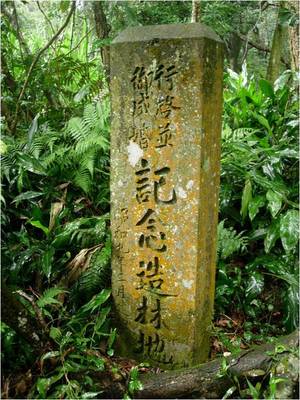 日治時期的植櫻與櫻花意象（本相簿作品皆經作者授權)