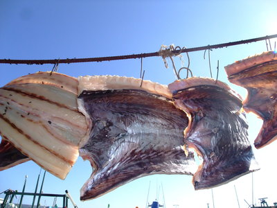 台灣拼圖-台東縣成功鎮