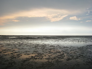 新竹市香山區－香山濕地