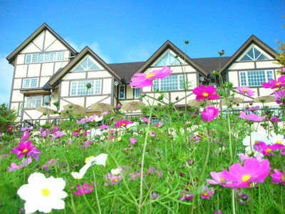 台灣拼圖-桃園縣復興鄉