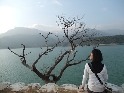 台灣拼圖 -嘉義縣大埔鄉