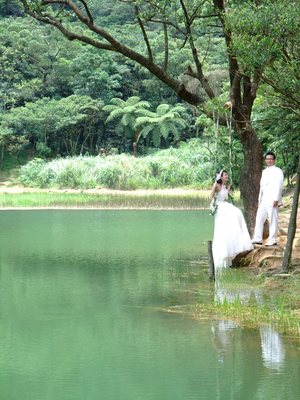 台灣拼圖-新北市汐止區