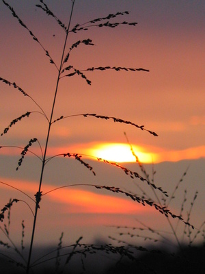 苗栗縣南庄鄉-夕照