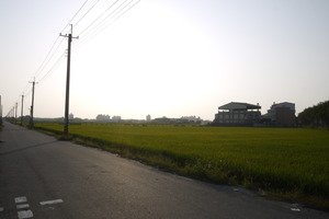 雲林縣斗南鎮－路旁