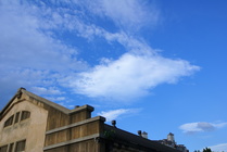 台北市中正區-華山創意文化園區