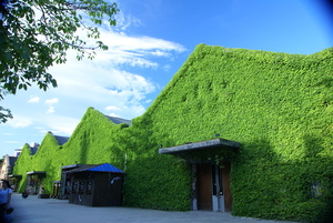 台北市中正區-華山創意文化園區