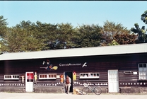 台東縣台東市-鐵道藝術村