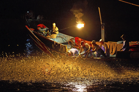 海島人─產業與人文
