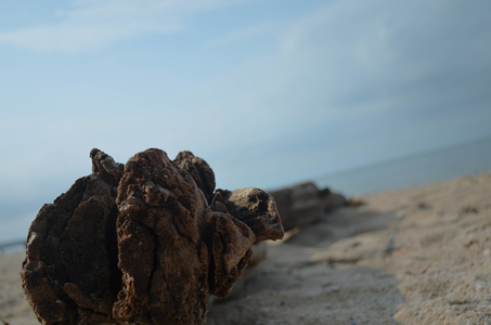 海島人─地景與生態
