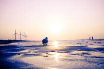 永續不斷的生命力