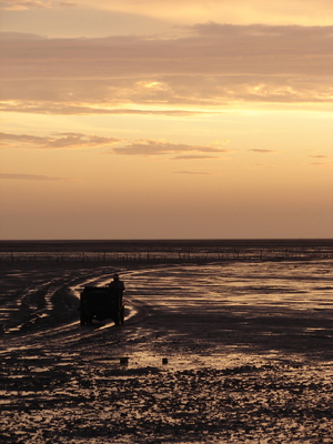 上班路上的光景