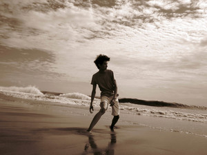 地景生態_徐立_03_黑森林公園