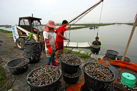 海島人-產業與人文
