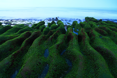 海島人─地景與生態