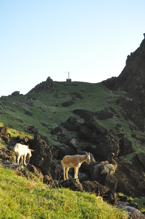 【蘭嶼，共存】