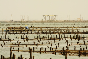 02_21世紀，東石