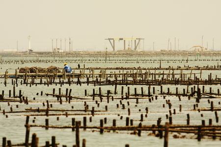 海島人─產業與人文