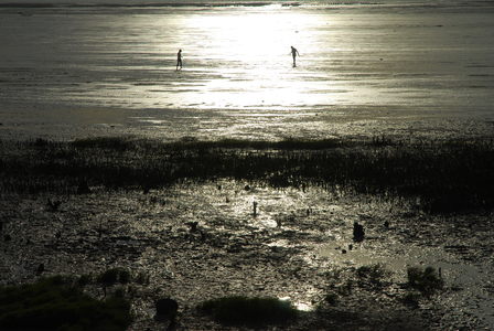 海島人─地景與生態
