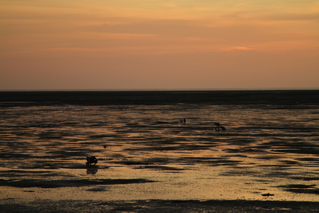 海島人─產業與人文