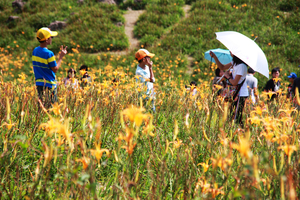 花蓮縣富里鄉-六十石山