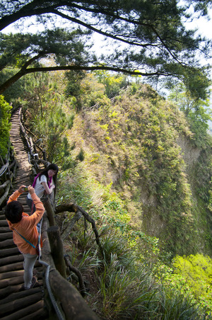 台中市-大坑5-1登山步道
